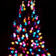 Illustration for article titled Photo Contest: Christmas Lights